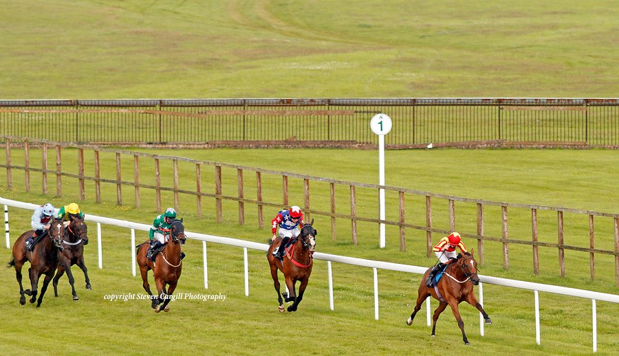 Steven_Cargill's tweet photo. 5th win for 5yo g SINGING THE BLUES @D_Muscutttt in 11.5f handicap @BathRacecourse tonight for @miguel_rancho Sir Prancealot @jrmillman https://t.co/4p2WDT2bCQ