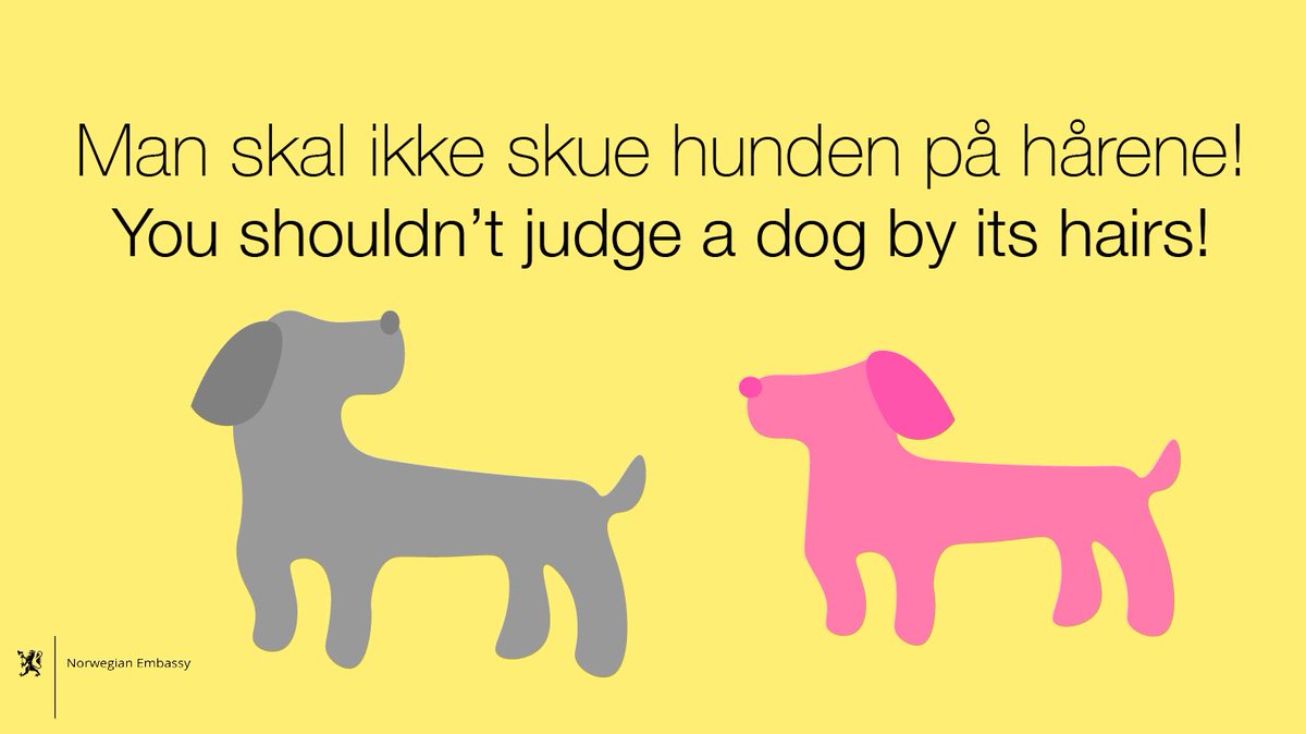 Norway in the U.S. on Twitter: "Each Saturday we're higlighting a new word or in Norwegian. When learning any language, practice makes perfect! Today's #SaturdaySnakke: Man skal ikke skue hunden på