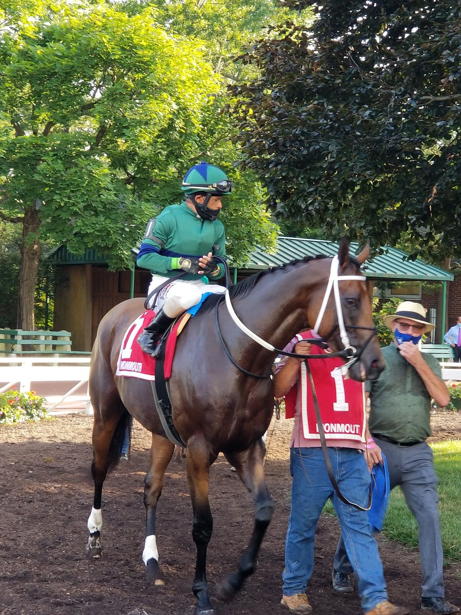 TheRacingBiz's tweet photo. Ogden Phipps winner She's a Julie (1) squares off against lightly-raced Royal Flag (2) in the Molly Pitcher, to wrap up #Haskell2020 day. https://t.co/TcGOdH0Jx1