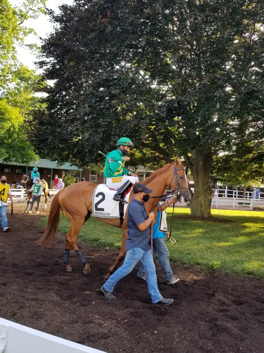 TheRacingBiz's tweet photo. Ogden Phipps winner She's a Julie (1) squares off against lightly-raced Royal Flag (2) in the Molly Pitcher, to wrap up #Haskell2020 day. https://t.co/TcGOdH0Jx1