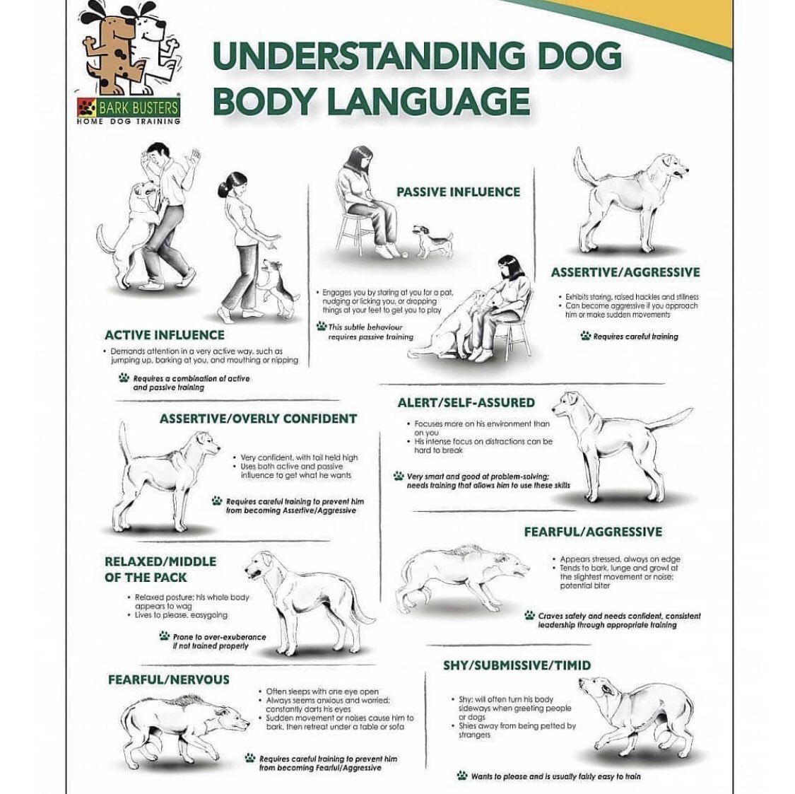 dogtrainer29's tweet photo. Train your dog with #onlinetraining and make its #behavior best and obedient according to you
#dogs #dogtraining #dogsoftwitter #dogtrainer #AnimalRights #animallovers #DoctorWho #understanddog #dogsbodylanguage #trainyourdog https://t.co/EkdxSGoTux