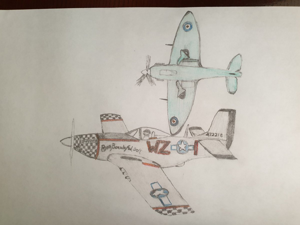 Fork-Tailed Devil tweet media