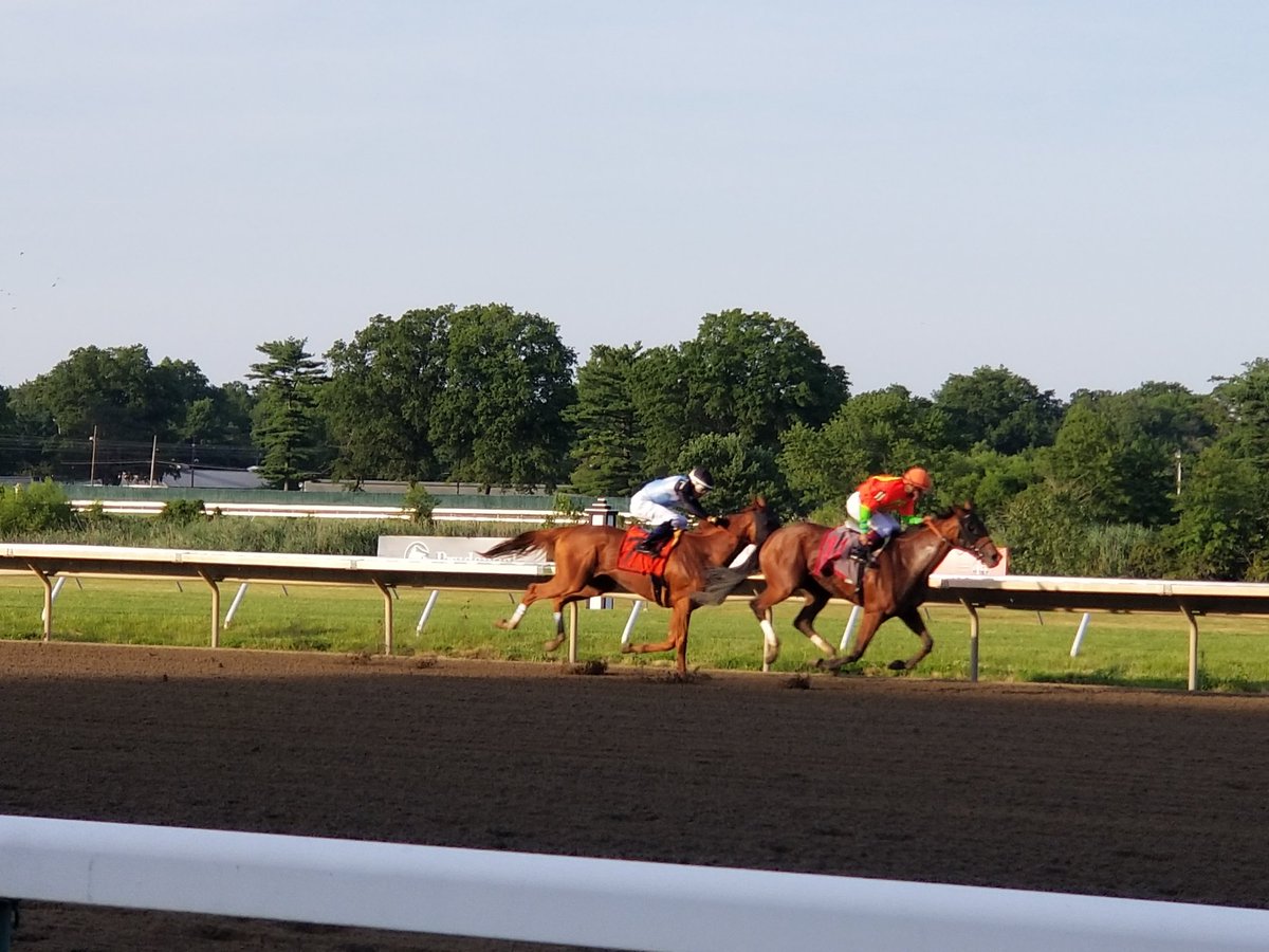 TheRacingBiz's tweet photo. Horologist wraps up #Haskell2020 with a win for New Jersey! She gets a great stalking trip and wins the Molly Pitcher. https://t.co/yu0Frllcff