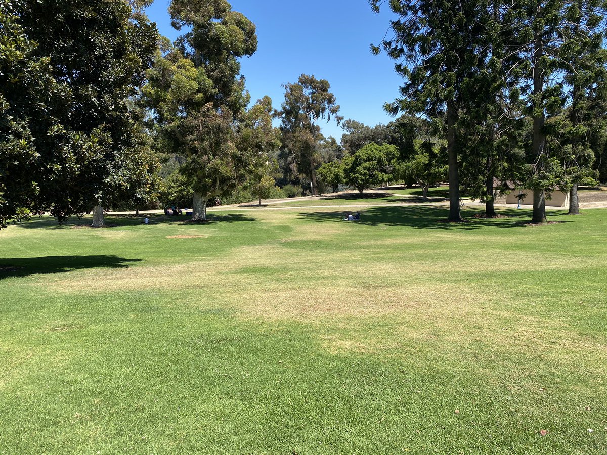 AustinJEvans's tweet photo. Not the same at all today, but glad to have done the San Diego Pride 5k virtually through the festival grounds. #sdpride5k #runsd #walksd #sdpride #togetherwerise #frwsd https://t.co/5zjXsUxPRi
