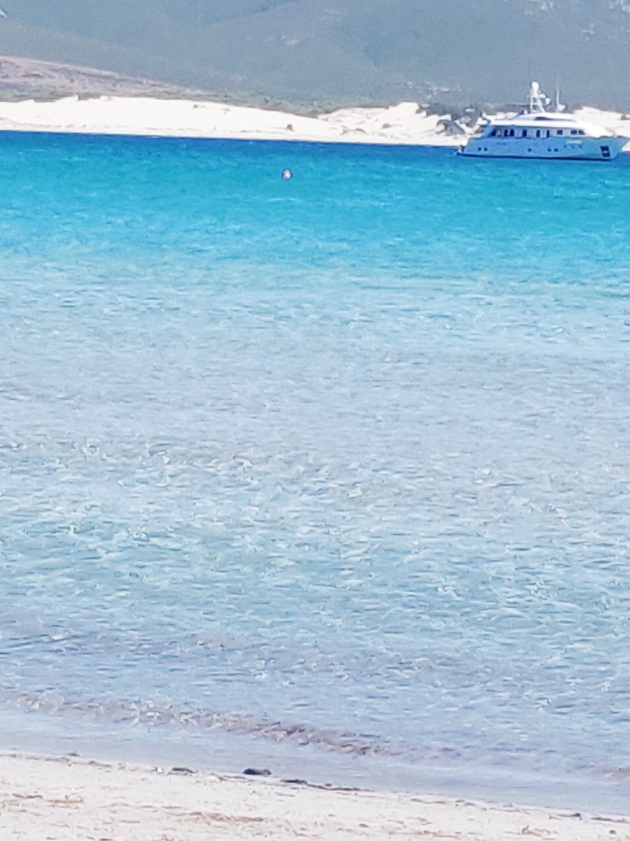 fracesca8788's tweet photo. Sempre più bello ♥️♥️#mare #sardegna #amore #limpida https://t.co/HDsIEtInyD