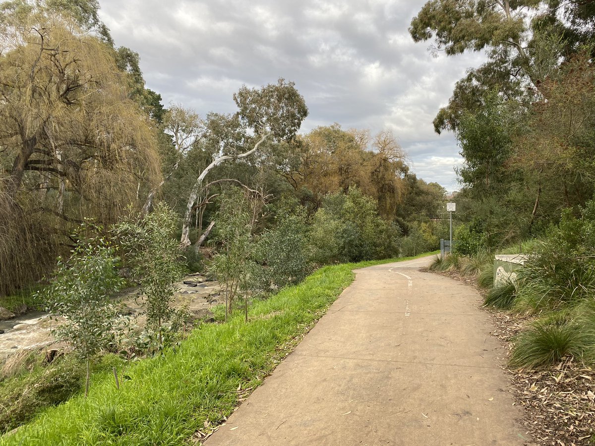 HercegSash's tweet photo. Nije Marjan, al’... jutarnja šetnja uz @ruzina i Izgubljenu Generaciju. Da vas nije, poludia bi!!! #splitemoj #Melbourne https://t.co/wPbE4kZaVq