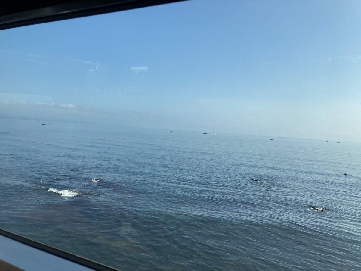 てぃー 雨晴海岸 雨晴駅 うみ この車窓と海の近さ この周辺がヨルシカ ただ君に晴れ のmvのロケ地だとか てぃーのgoto直前北陸旅行