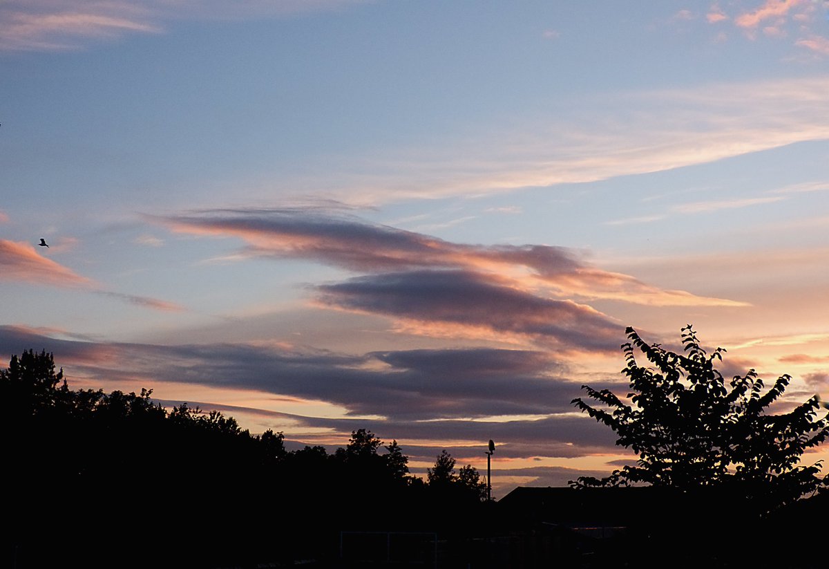 ccbigcam's tweet photo. Sunset tonight
Been awhile since there's been a decent one to see
#LockdownPhase3 #LockdownSunsets
#Sunsets #FromMyWindow
@StormHour @LensAreLive
@ThePhotoHour
#WeatheringWithYou #WeatherWatchers https://t.co/om46uFxuQv
