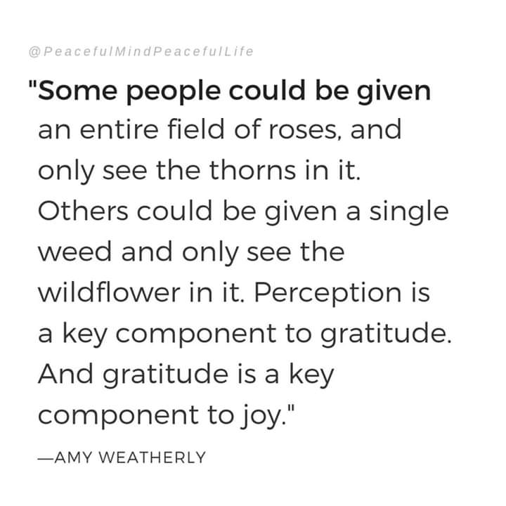 its_bloggable's tweet photo. #alwayswildflowers #glassalwaysfull #optimist #perception #gratitude #Joy https://t.co/FObuVLsgFp