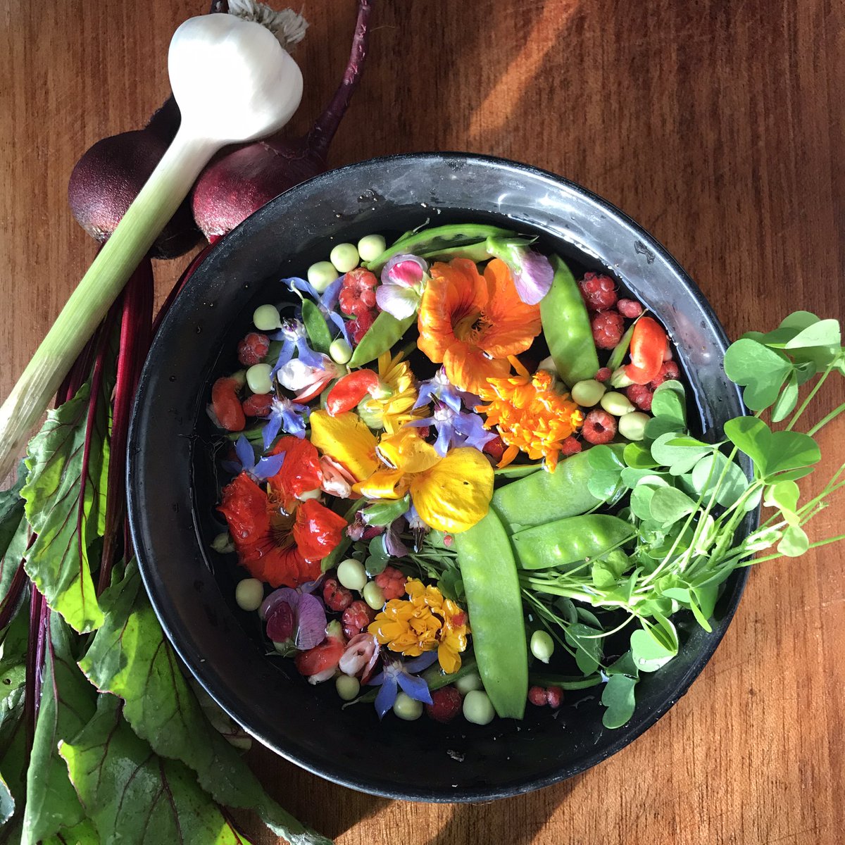 Beet salad before the knife 👨🏻‍🍳 Sown from seed, this is a good representation of how the gardens look right now 👨🏻‍🌾 

Beets. Borage. Snow Peas. Nasturtiums. Calendulas. Scarlet Lady Runner Bean Flowers. Dwarf Grey Sugar Snow Pea Flowers. Garlic. Wild Raspberries. Wood Sorrel.

#ygk
