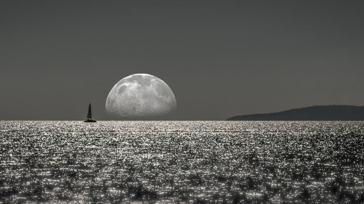 SoundForRelax's tweet image. video🎥#WAVES of the #CARIBBEAN #SEA🌊 at #night, to #sleep with the beautiful LIGHT OF THE #MOON, #Romantic💕and #Relaxing😴

video🎥#OLAS del #MAR #CARIBE🌊 en la #noche, para #dormir con la hermosa LUZ DE LA #LUNA, #Romántico💕y #Relajante😴

Link👇👇🎥
youtu.be/TkGTVZpSzlM