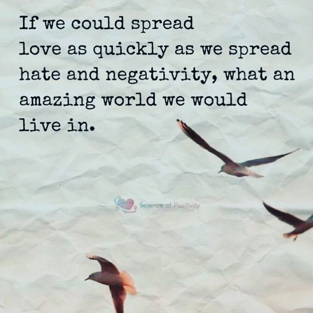 NzPositivity's tweet photo. https://t.co/4re0b0dXTf
