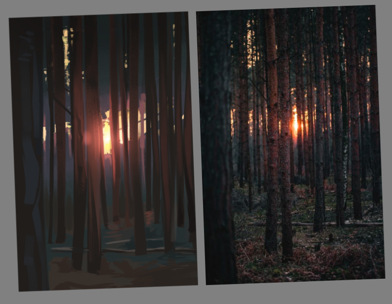 Studies of the day :D