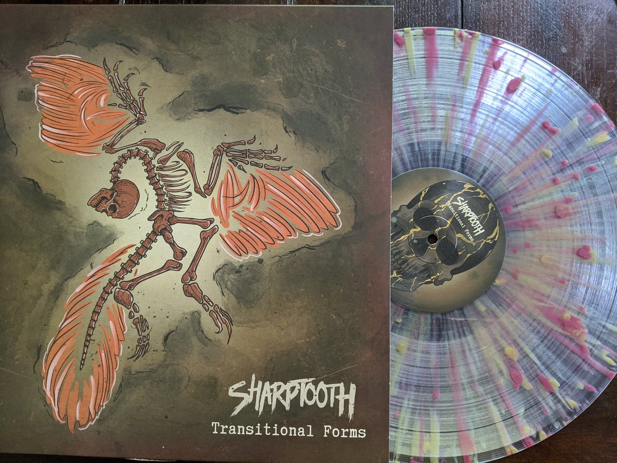 Dr_Ozzilla's tweet photo. They have arrived!!!!!!!!!!!! Thank you @purenoiserecs &amp; @sharptoothmd + @merchnow cranking at maximum volume until my needle wears out. Added bonus: didn't expect them to be so translucent, F"N BADASS!! #CLEVERGIRL #TRANSITIONALFORMS https://t.co/08KbLjk8zZ
