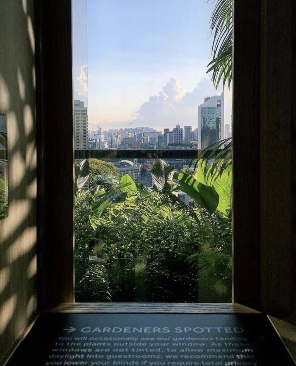 MDestinationz's tweet photo. Parkroyal Collection Pickering, Singapore 🇸🇬 
Via: travel_food_people https://t.co/wbINSYokLc