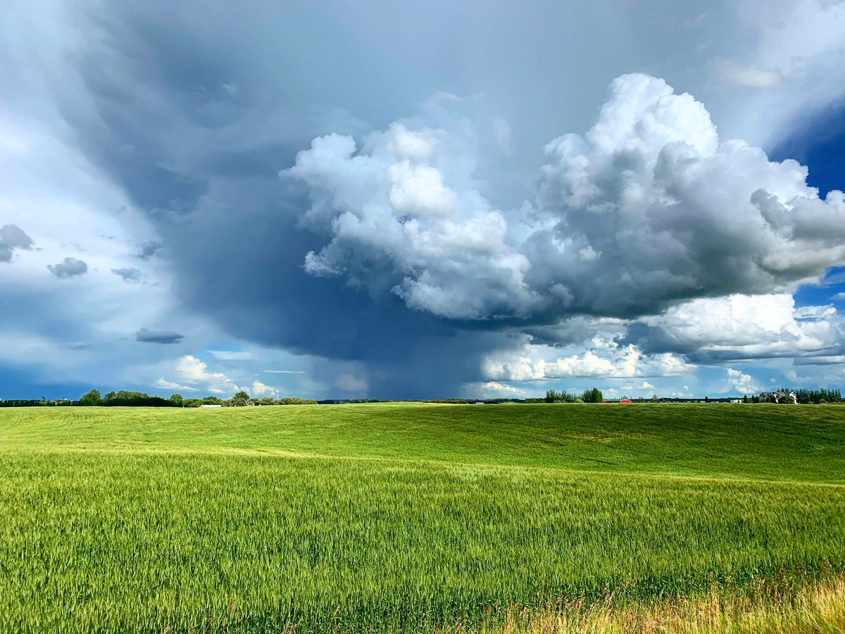 HoughtonBoston's tweet photo. Summertime in Saskatchewan, land of living skies. #Saskatchewan #yxe #skstorm https://t.co/5BFtVKLHwE