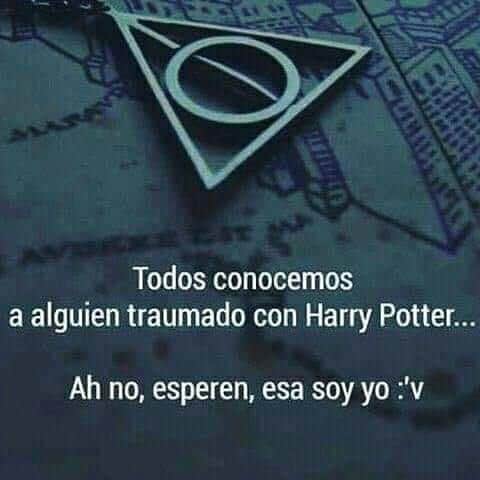 bellatrix_lec's tweet photo. https://t.co/6vFf6oeUHr