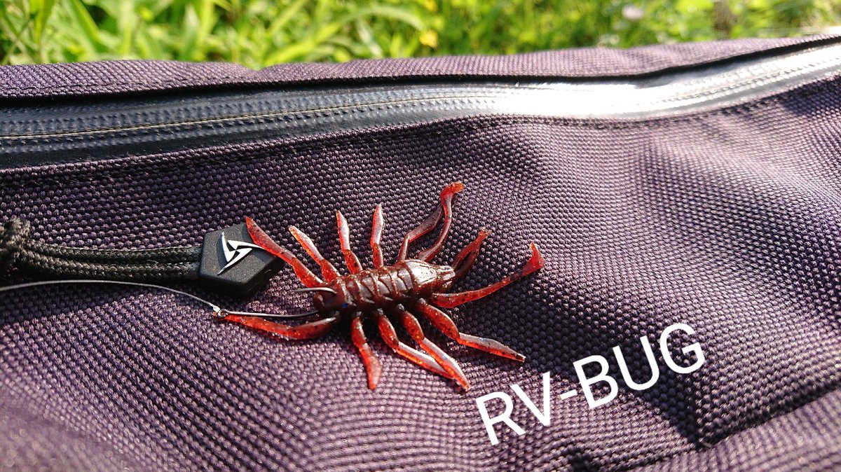 hikosuke5's tweet photo. 本日の朝イチ、シャローゲームに適したルアーはRV-BUGでした😎
#バス釣り
#ジャッカル
#RVBUG https://t.co/i0m1CpJGvK