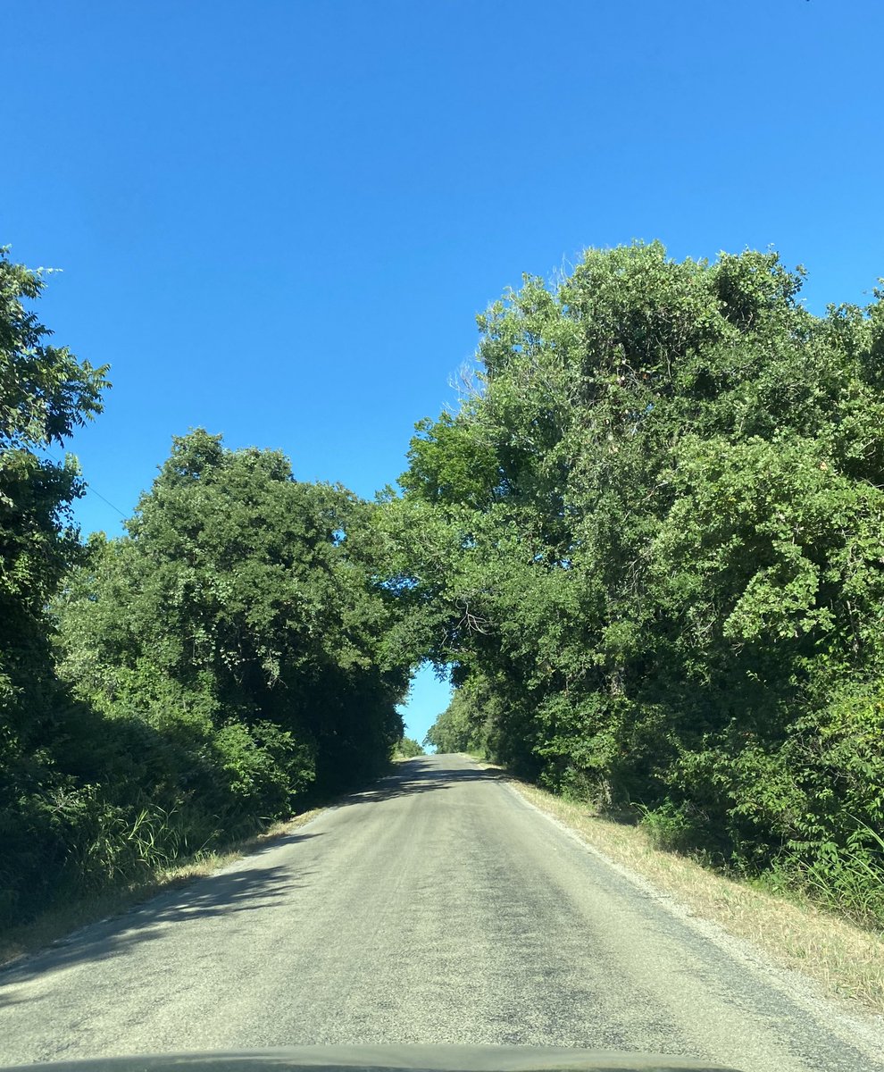 ShaiBerry's tweet photo. ๐ Live Music Bound! #texasbackroads #livemusic #texasmusicscene #roadlife #music #texas https://t.co/MqKFuqT9rk