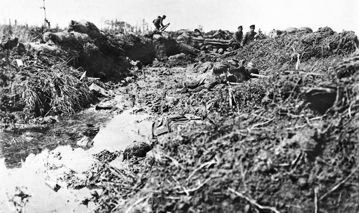 2. German troops reoccupy their trenches after the battle. Note the dead Australians in the foreground...