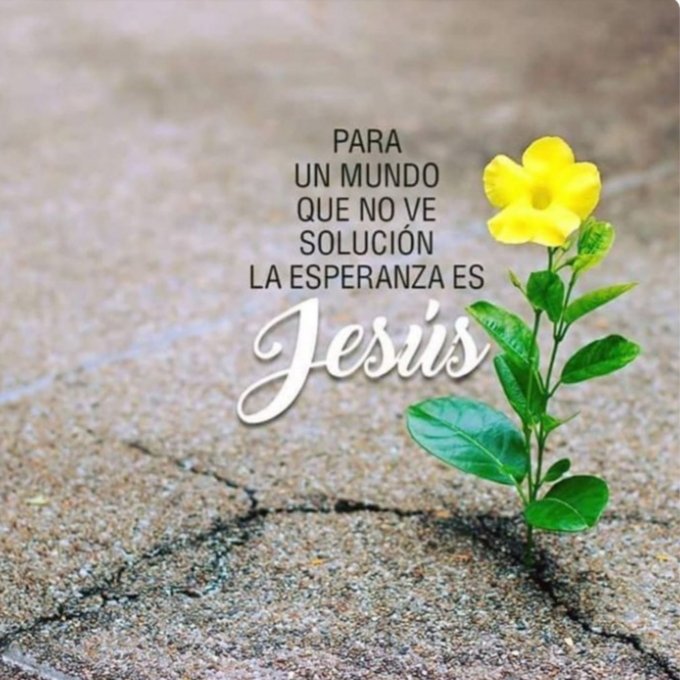 JessJavierMnde2's tweet photo. Y ahora permanecen la fe, la esperanza y el amor, estos tres; pero el mayor de ellos es el amor.
1 Corintios 13 : 13
Acercate al Señor y recibe estos tres enormes y necesarios ingredientes para tu vida
#FeEsperanzaAmor 
@UVOriental https://t.co/BmlnuvmtSG