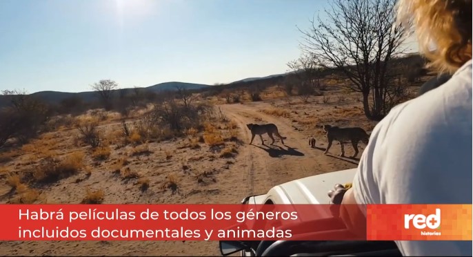 RedMasNoticias's tweet photo. #EnVivo | Conozca sobre la selección de películas independientes que harán parte de #Indiebo. @paolaturbay
Vea este y otros #BuenosCuentos de #RedMásHistorias en los canales 107 y 1007 HD de Claro o vía streaming aquí➡️https://t.co/BqLIbzNtbI https://t.co/T4E2BPXCKw