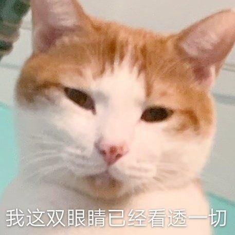 Chen692718's tweet photo. @forzeesaintonly 明现在是妥协转变了 但是慢慢的会想要更多 当然中间还有其他矛盾���现 https://t.co/vDzlB6TMHy