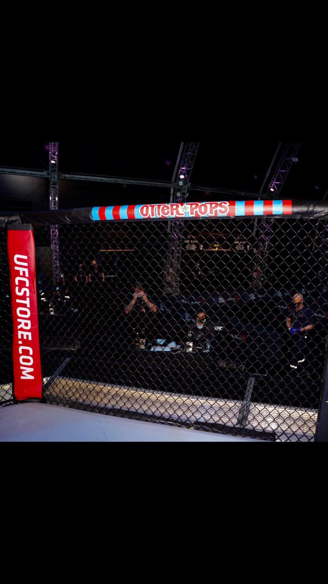 danawhite's tweet photo. What’s better than these!? @OtterPops https://t.co/siSNDRaYPa
