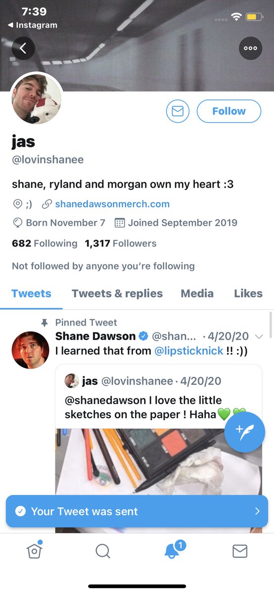 teasippity's tweet image. It's sad this sicko @lovinshanee still supports have #ShaneDawsonIsOverParty it's sick to know you support a child predator and a #Blackface artist