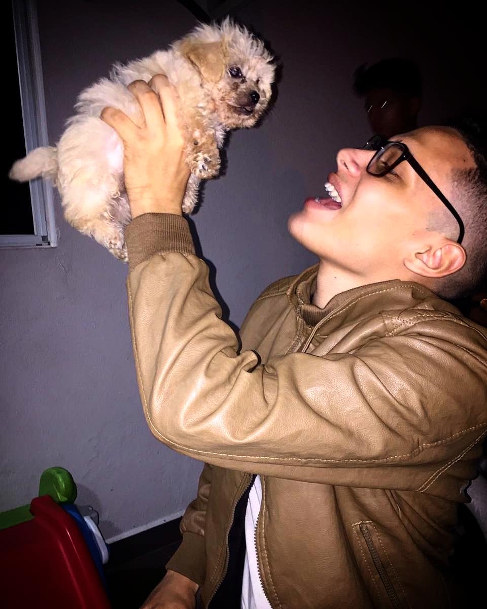 SamuelArauz20's tweet photo. 😍🐶 https://t.co/c4hTKf3SiL