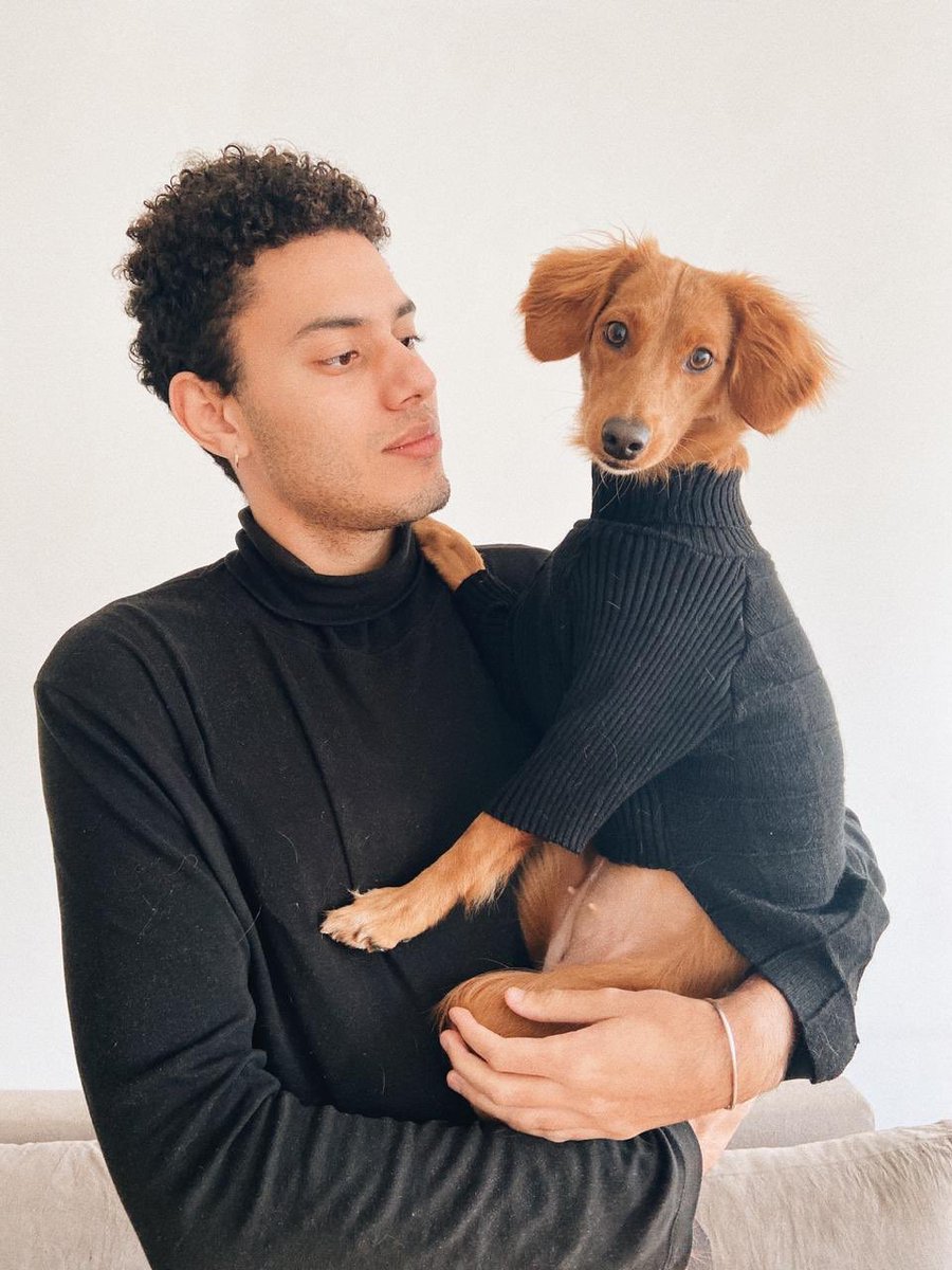 Casa do Vira-lata tweet media