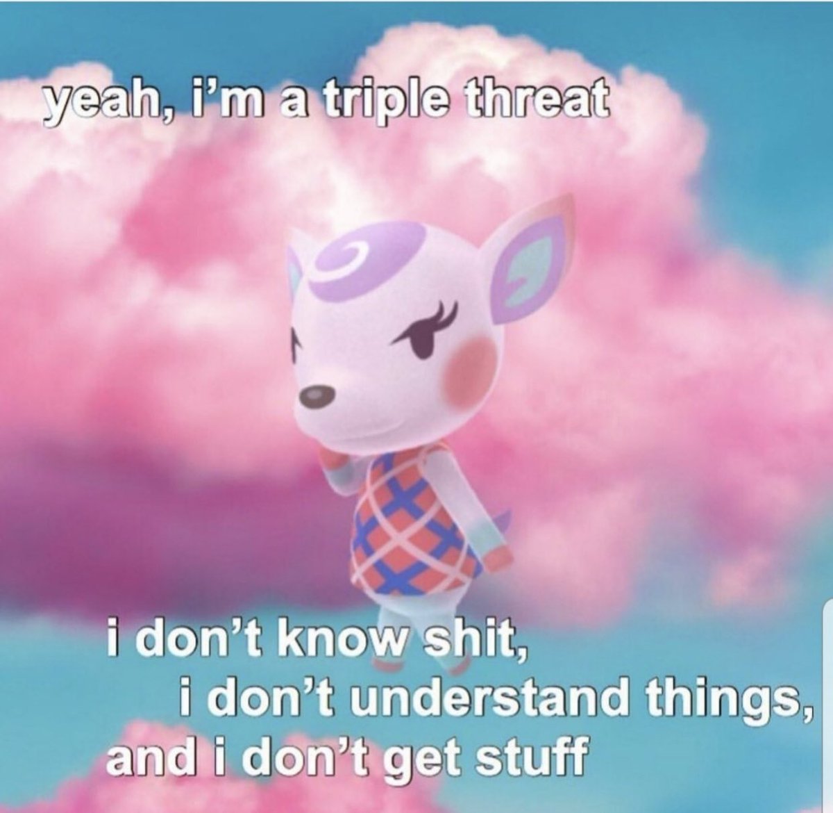 kawaiibambiii's tweet photo. if diana made a return as a villager in animal crossing new horizons.. we need to talk @nintendo for a “Diana theme” #NintendoSwitch #NintendoSwitchrestock https://t.co/k4vbdgj4VV
