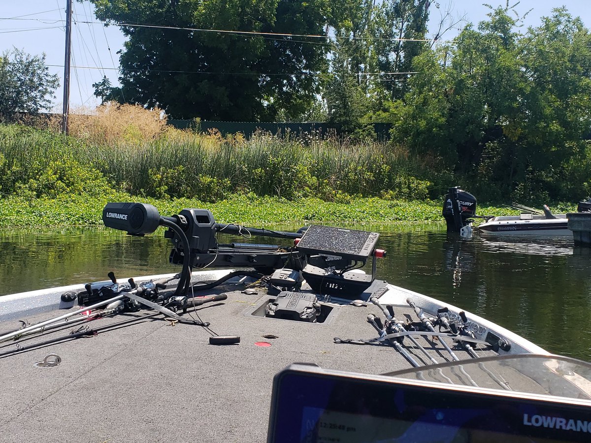 fish4ish's tweet image. Got out on one of my favorite lakes today! Clearlake! Looking at beautiful mats! And i saw a ghost! @LowranceFishing @DaiwaUSA