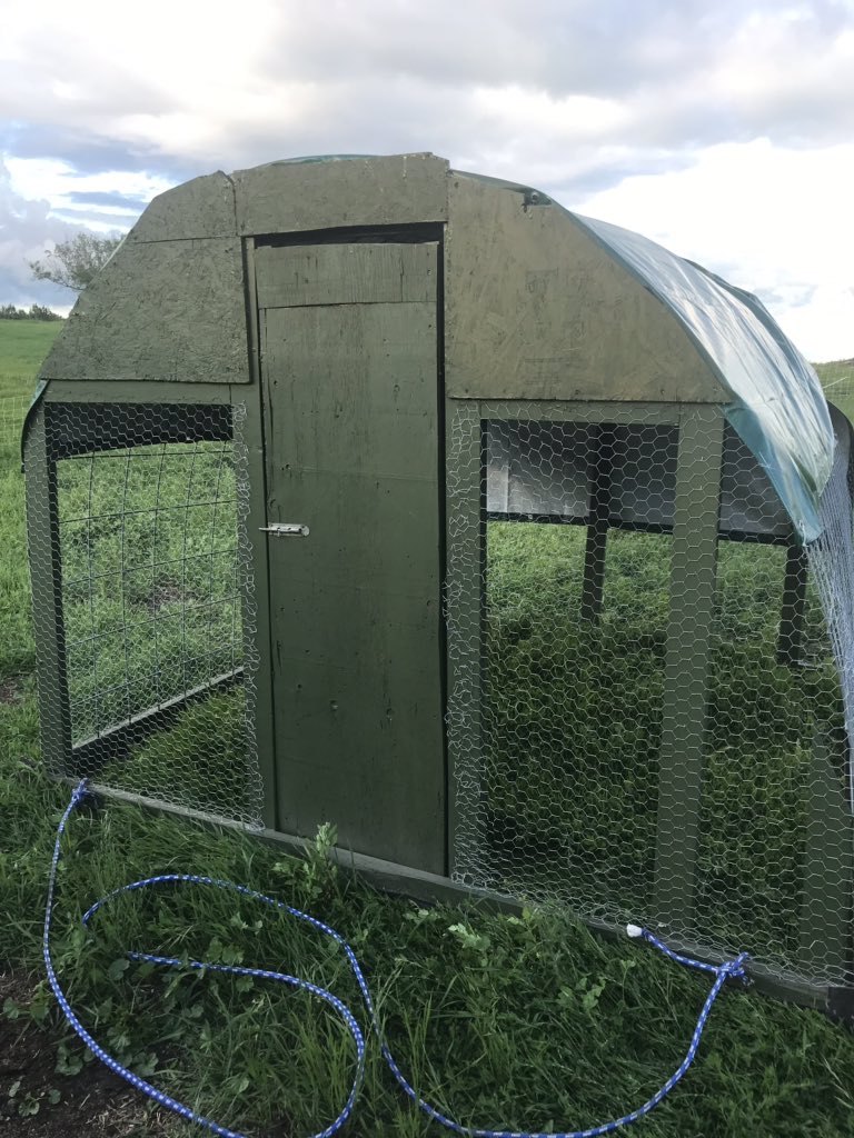 Annette33783991's tweet photo. Finally finished one of my chicken tractors I started over a month ago, one more to go. Them chickens are going to love the grass and weeds and maybe I’ll keep more alive with this. #chickenfun #farmfun https://t.co/vaLCeyxGbj