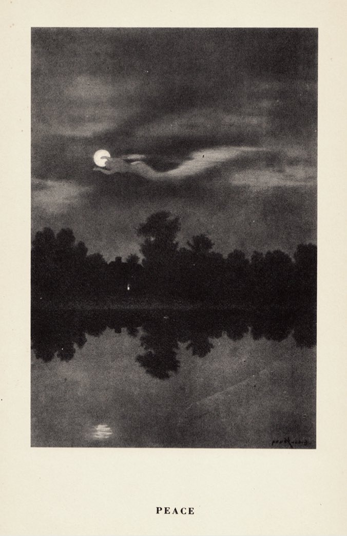 chris_preetha's tweet photo. New muse - these fantastic Rorschach silhouettes of tree forms by Art Young. ‘Trees at Night’. https://t.co/fAtcBwgLKC