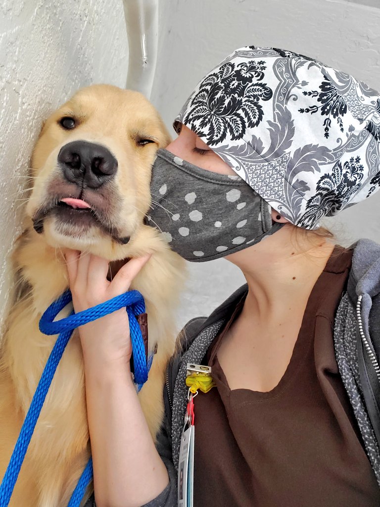 27walto's tweet photo. @rauhling_bizzle My appearance is greatly enhanced by my dog.. And then there was the time I put on lashes https://t.co/y0CMHPnpSM