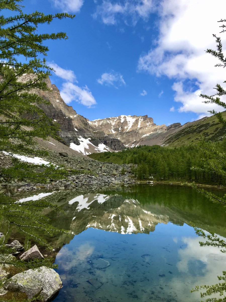rexfromcalgary's tweet photo. Early morning hike to get out and enjoy nature at Taylor Lake Banff National Park. Pic of a tarn further up  on the route to Panorama ridge. https://t.co/lzeVxOwH6i