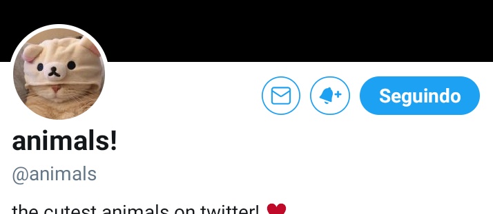 Alex tweet media