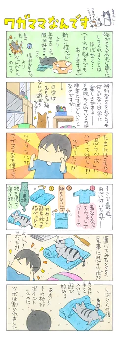 「思うツボ」
ある物を猫がどのように使うのか、
猫の気持ちになって想像してみる。
猫との知恵比べはエキサイティング。
(久保智昭さんの「猫色スケッチブック」)他一枚更新しています。⇒https://t.co/CN0IWsem5A 