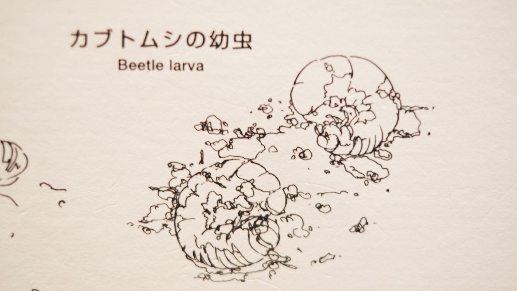 日本科学未来館 未来館 ドアップ写真クイズ カブトムシの幼虫 イラスト がいる展示があります さて どこでしょう 来館予定の方 Let S リサーチ 日本科学未来館 未来館 ドアップ写真クイズ カブトムシの幼虫 イラスト がいる展示があります さて どこでしょう 来館予定の方 Let S リサーチ