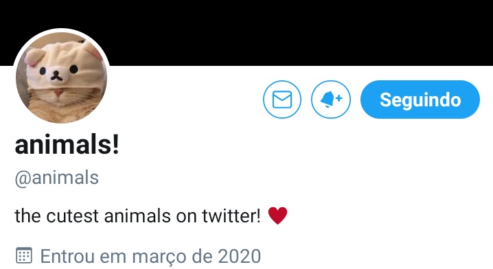 Alex tweet media