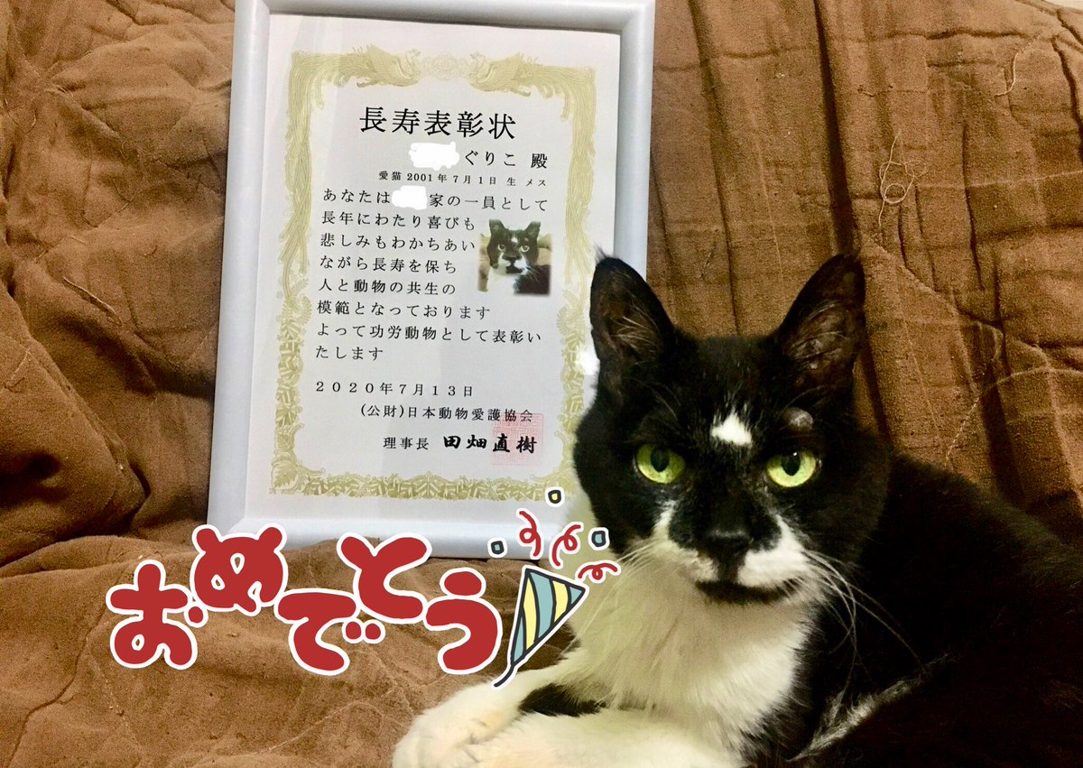 長生きした犬や猫を表彰してもらえる制度があるらしい Togetter