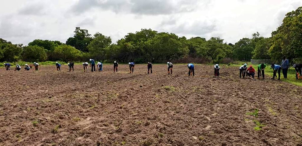 endaenergylinks's tweet photo. #Doylu #Kolda
Pour soutenir la production du lait en abondance, 20 entrepreneurs de la région de Kolda ont été formés sur la production fourragère dans le cadre de notre Programme Intégré Energie-Fourrage-Lait #Doylu.
Ce programme est financé par la #GIZ #ReussirAuSenegal. https://t.co/xKSjFZ0Vm0