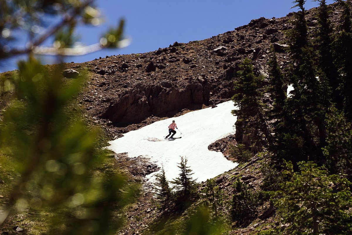 snowledge_co's tweet image. Kenzie Bathurst not quite ready to give up on skiing yet! 📸:@rileybathurst

#snowledgeispowder #turnsallyear #summershred #slushies #goskiing #tahoe #shredows #indepenceday #freedom #mdv @SheShredsco @VolklFreeski @DalbelloSkiBoot