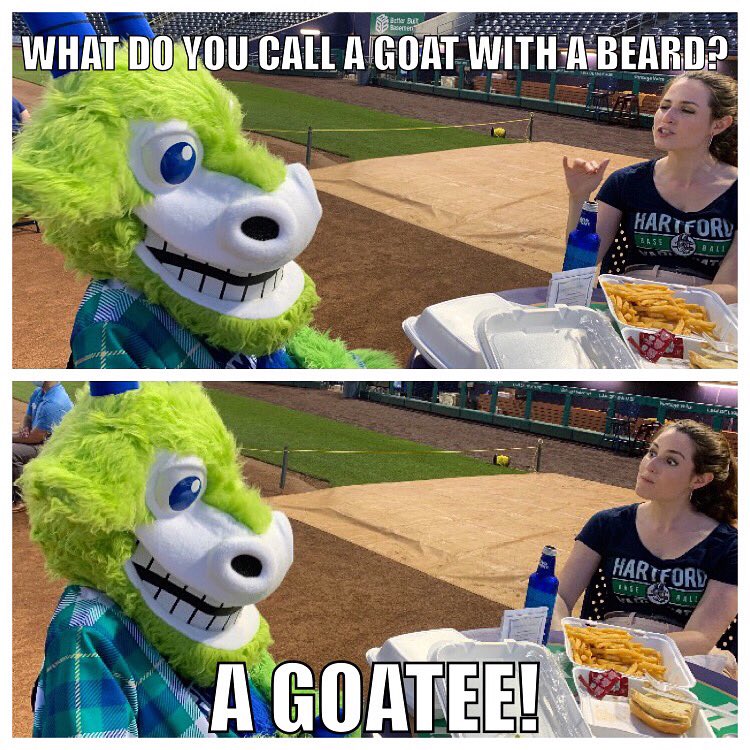 HeatherBurian's tweet photo. Dinner conversation with @ChompersTheGoat 🐐🤣 #GoatHumor @GoYardGoats https://t.co/6NAyT022dG