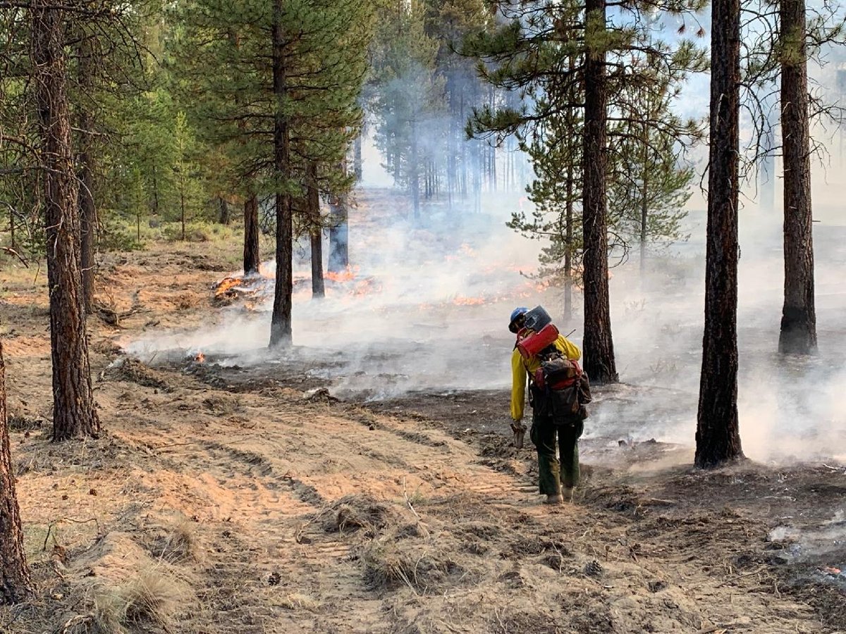 Central OR Fire Info tweet media