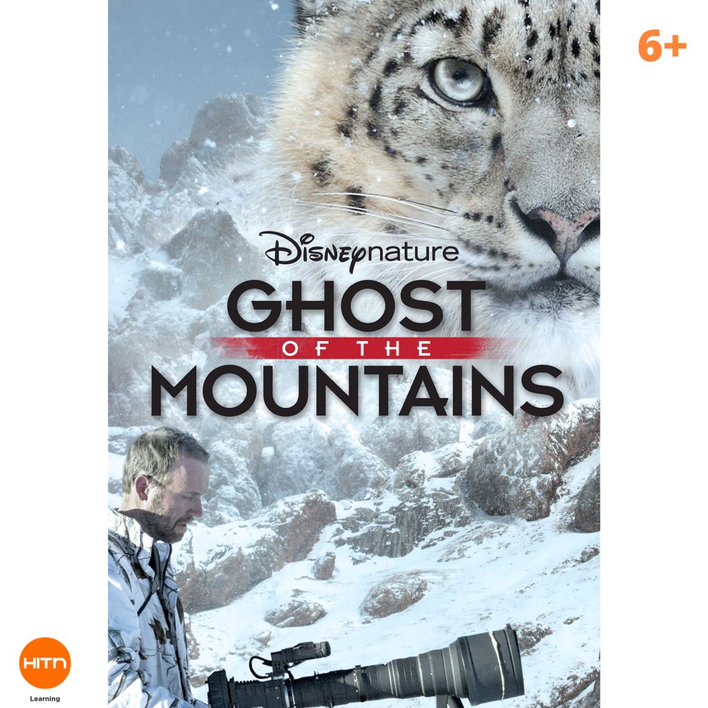 HITN Learning tweet media