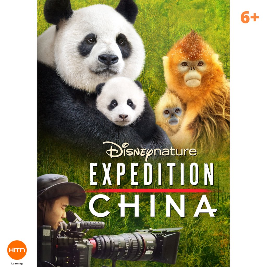 HITN Learning tweet media