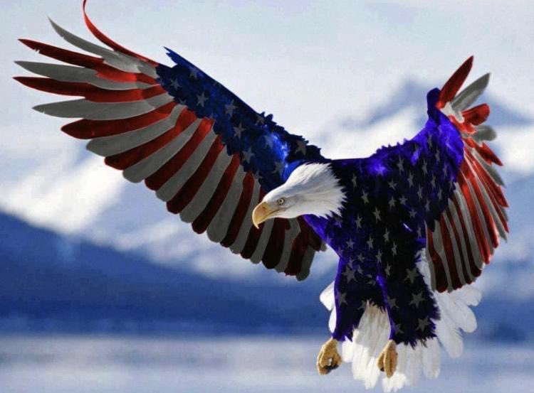 sdtvanc's tweet photo. So…6 years on Twitter! I have learned sooo much; liberals &amp; conservatives don’t get along AT ALL!!! COVID is real. And don’t tweet anything unless you wanna get your rear end handed to you on a platter! But, one thing is for sure - we’ll always have the eagle to lean on!!! https://t.co/o8JTlaZjae