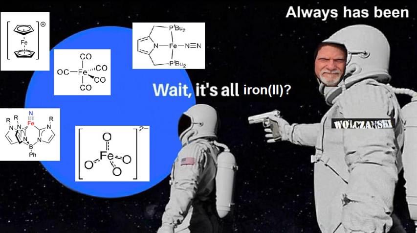InorgC2vMemes's tweet photo. In space, nobody can hear oxidation states

Organometallics 2017, 36, 622. https://t.co/uj2GrXo6nl